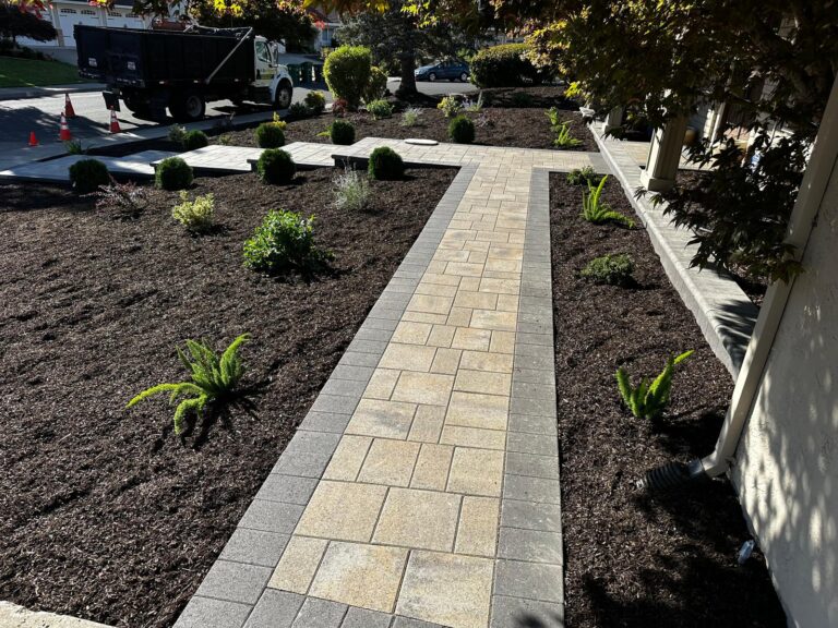 a paver walkway surrounded by plants and trees. paver installation in San Leandro
